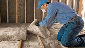 Best Basement Insulation  in Raven, VA